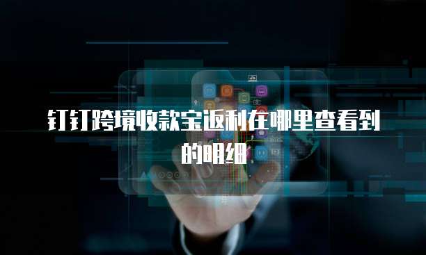 钉钉跨境收款宝返利在哪里查看到的明细