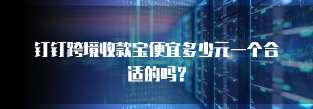 钉钉跨境收款宝便宜多少元一个合适的吗?