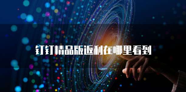 钉钉精品版返利在哪里看到
