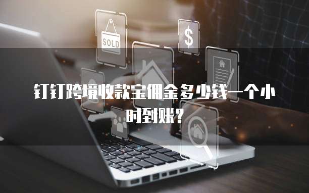 钉钉跨境收款宝佣金多少钱一个小时到账?