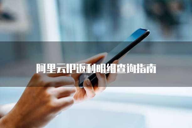 阿里云IP返利明细查询指南