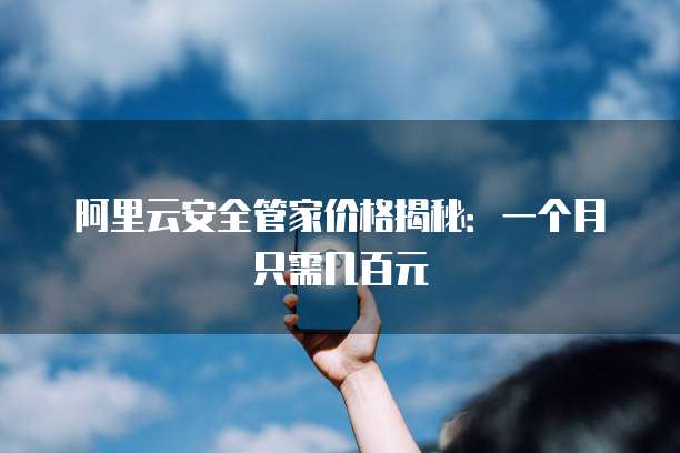 阿里云安全管家价格揭秘:一个月只需几百元