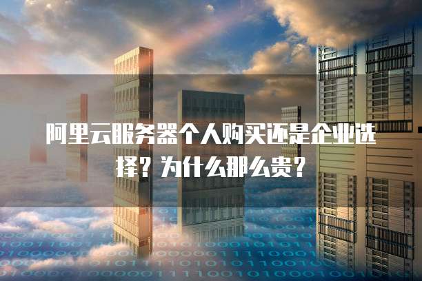阿里云服务器个人购买还是企业选择?为什么那么贵?
