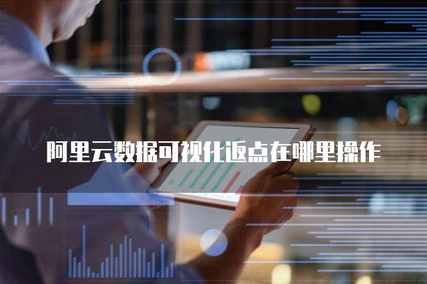 阿里云数据可视化返点在哪里操作