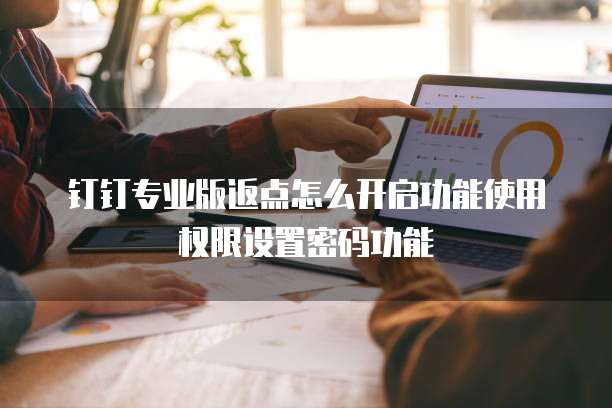 钉钉专业版返点怎么开启功能使用权限设置密码功能