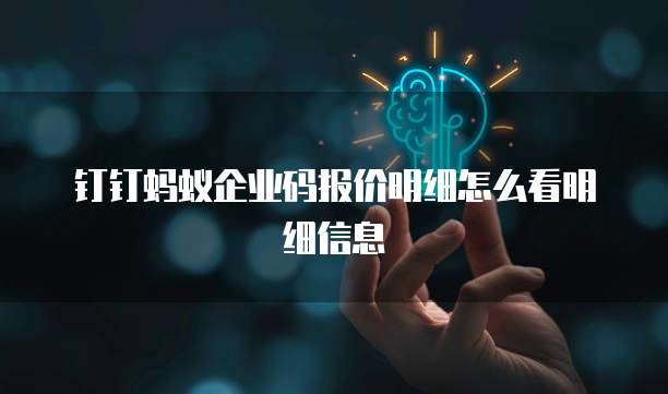 钉钉蚂蚁企业码报价明细怎么看明细信息