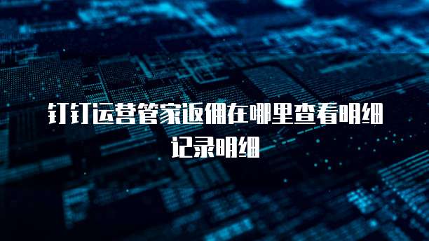 钉钉运营管家返佣在哪里查看明细记录明细