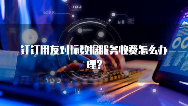 钉钉用友对标数据服务收费怎么办理？