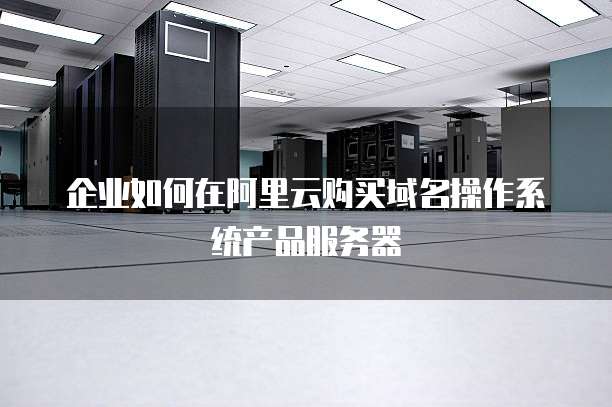 企业如何在阿里云购买域名操作系统产品服务器