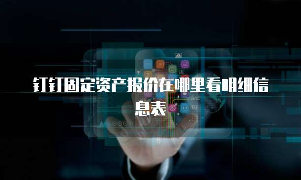 钉钉固定资产报价在哪里看明细信息表
