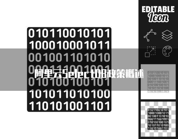 阿里云SelectDB政策概述