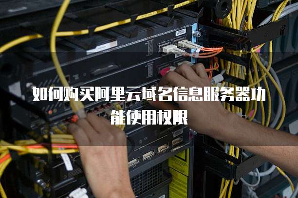 如何购买阿里云域名信息服务器功能使用权限