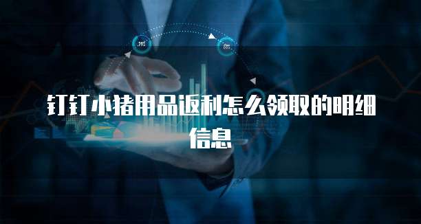 钉钉小猪用品返利怎么领取的明细信息