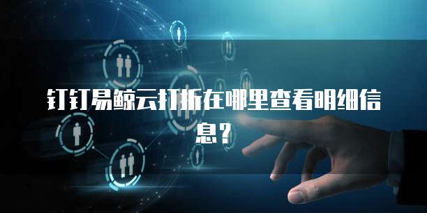 钉钉易鲸云打折在哪里查看明细信息？