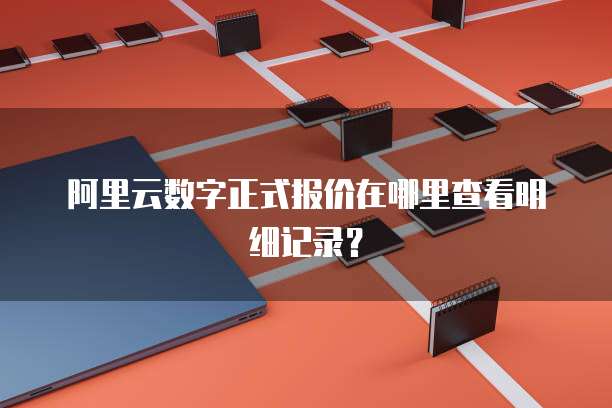 阿里云数字正式报价在哪里查看明细记录?