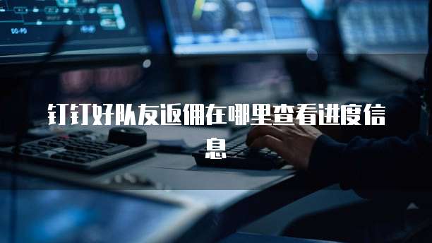 钉钉好队友返佣在哪里查看进度信息