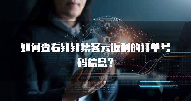 如何查看钉钉集客云返利的订单号码信息?