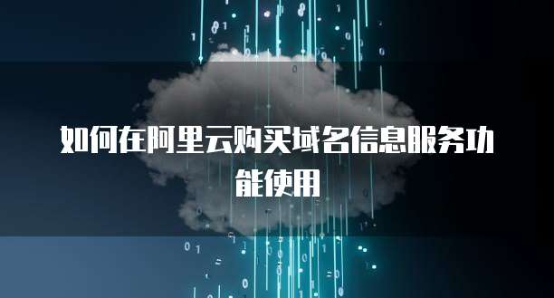 如何在阿里云购买域名信息服务功能使用