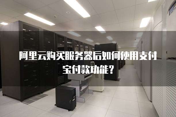 阿里云购买服务器后如何使用支付宝付款功能?