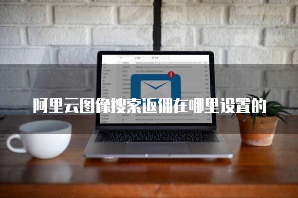 阿里云图像搜索返佣在哪里设置的