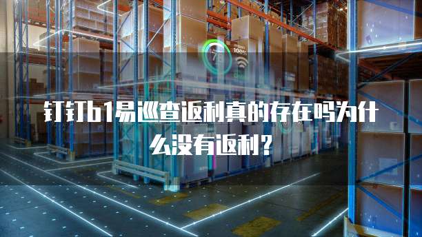 钉钉b1易巡查返利真的存在吗为什么没有返利?
