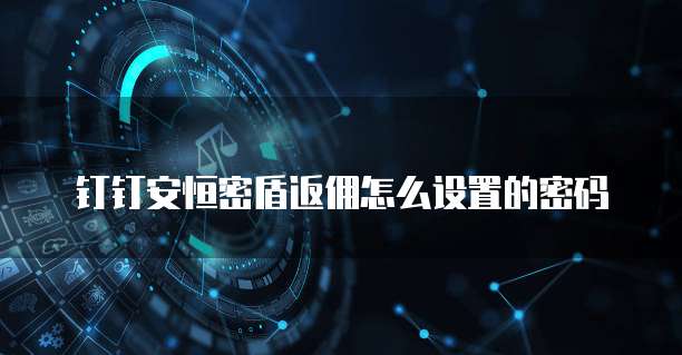钉钉安恒密盾返佣怎么设置的密码