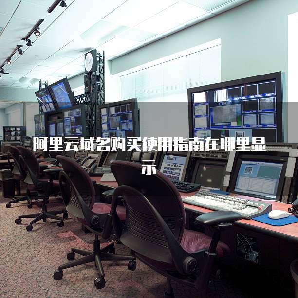 阿里云域名购买使用指南在哪里显示
