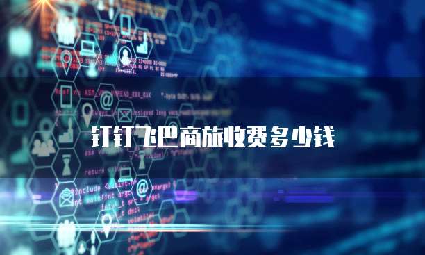 钉钉飞巴商旅收费多少钱