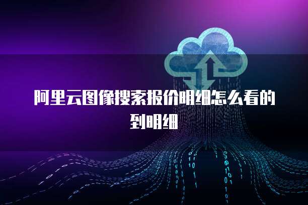 阿里云图像搜索报价明细怎么看的到明细