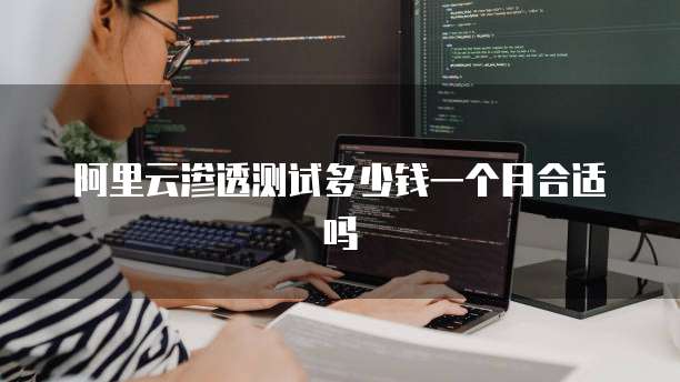阿里云渗透测试多少钱一个月合适吗