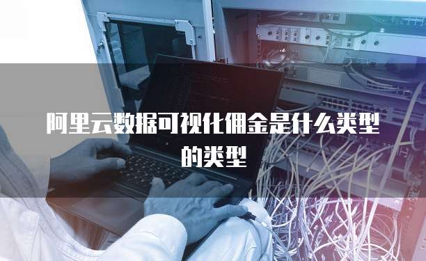 阿里云数据可视化佣金是什么类型的类型