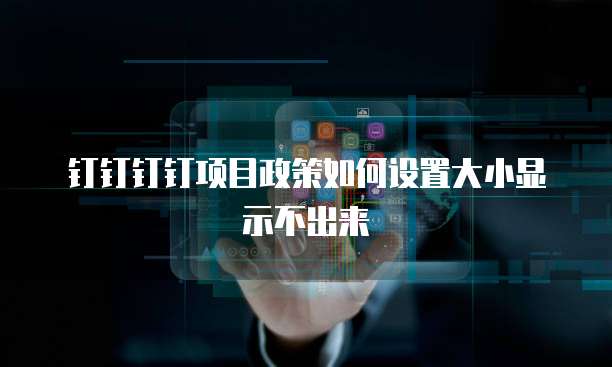 钉钉钉钉项目政策如何设置大小显示不出来