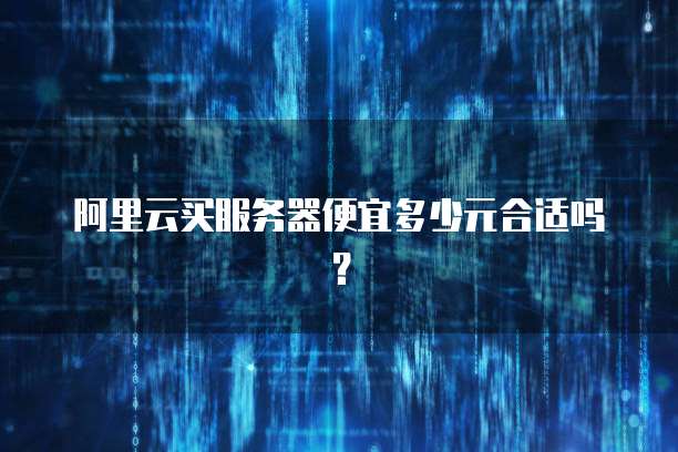 阿里云买服务器便宜多少元合适吗?