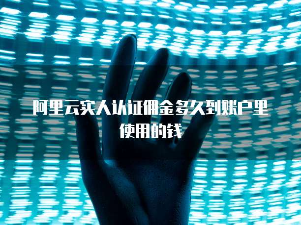 阿里云实人认证佣金多久到账户里使用的钱