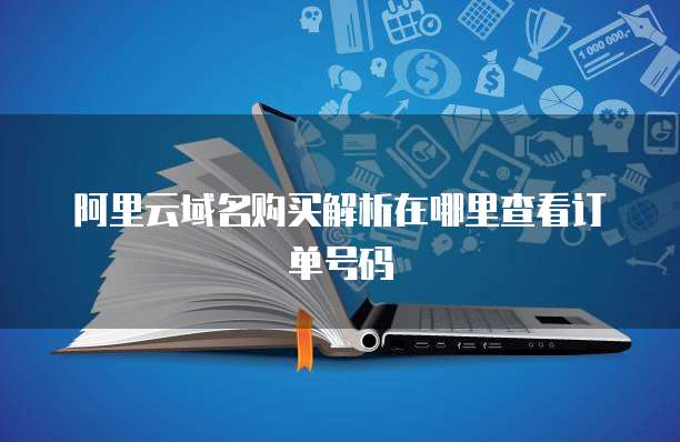 阿里云域名购买解析在哪里查看订单号码