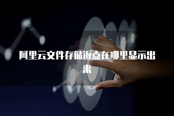阿里云文件存储返点在哪里显示出来