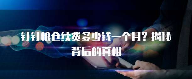 钉钉粮仓续费多少钱一个月?揭秘背后的真相