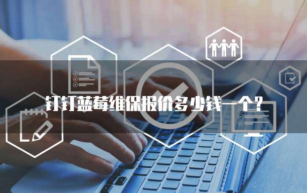 钉钉蓝莓维保报价多少钱一个?