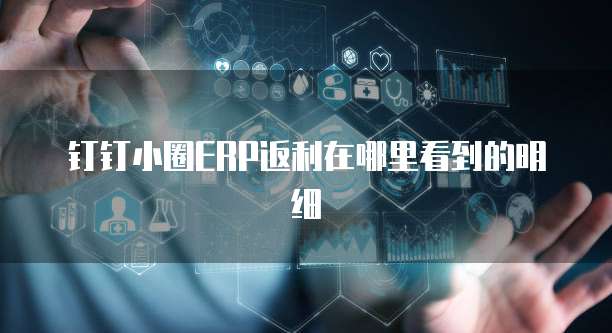钉钉小圈ERP返利在哪里看到的明细