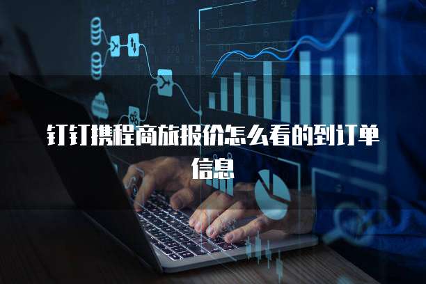 钉钉携程商旅报价怎么看的到订单信息