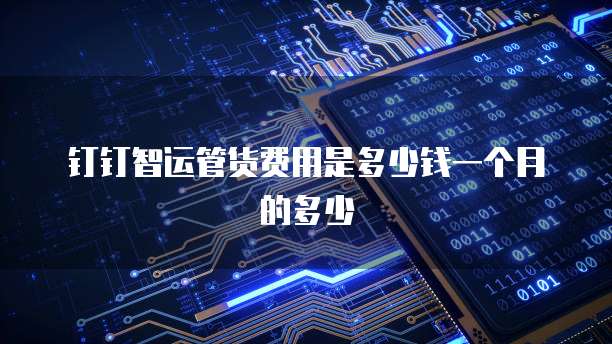 钉钉智运管货费用是多少钱一个月的多少