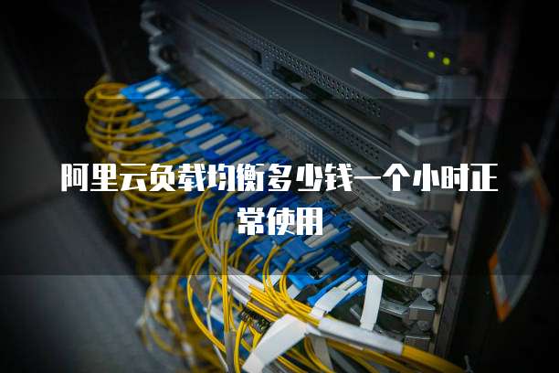 阿里云负载均衡多少钱一个小时正常使用