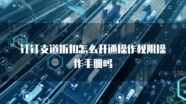 钉钉支道折扣怎么开通操作权限操作手册吗