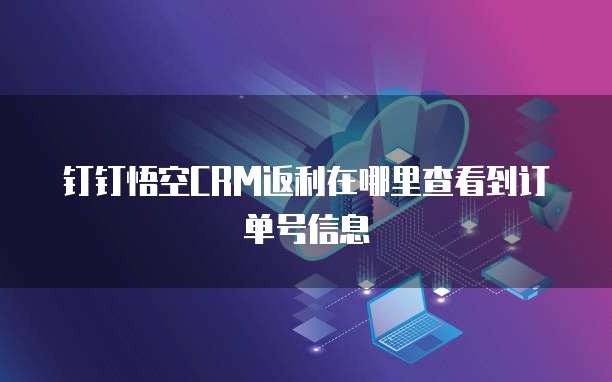 钉钉悟空CRM返利在哪里查看到订单号信息