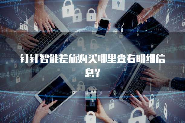 钉钉智能差旅购买哪里查看明细信息?