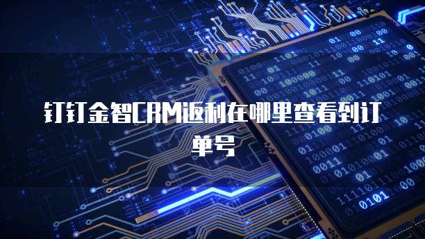 钉钉金智CRM返利在哪里查看到订单号