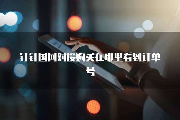 钉钉国网对接购买在哪里看到订单号