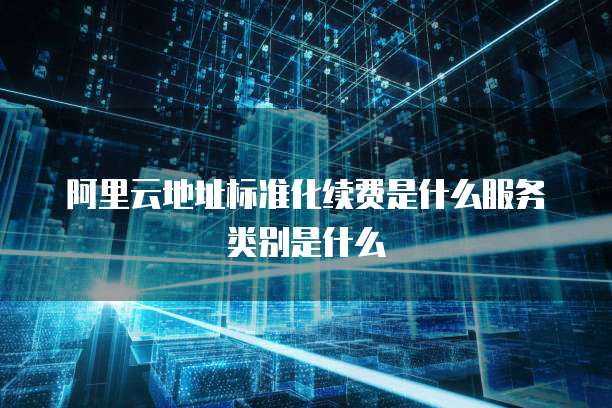 阿里云地址标准化续费是什么服务类别是什么