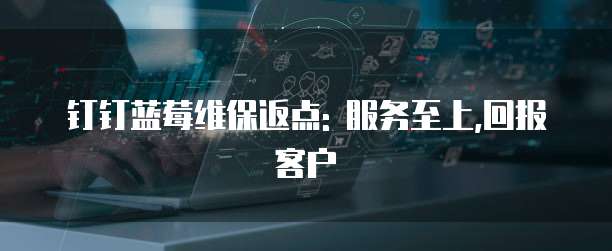 钉钉蓝莓维保返点: 服务至上,回报客户
