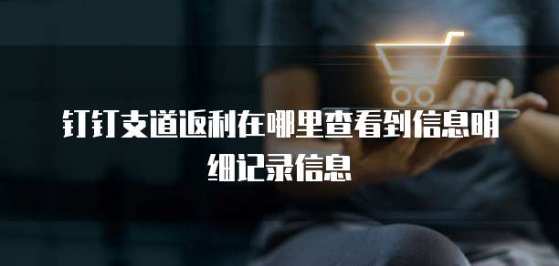 钉钉支道返利在哪里查看到信息明细记录信息